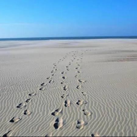 Apartamento In Near Scenic Beach, Cleaning Included Nieuwpoort