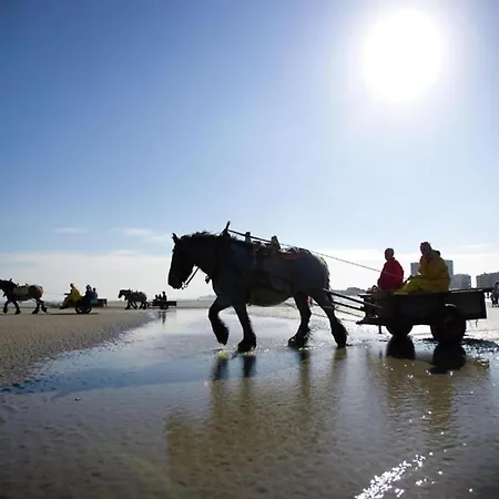 In Near Scenic Beach, Cleaning Included Nieuwpoort